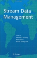 Stream Data Management (Advances in Database Systems) артикул 1197e.